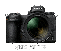 Nikoninstabadge Z6 Sticker by NikonIndia