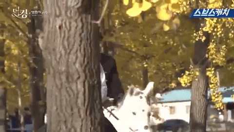 evalee22b1 giphygifmaker GIF