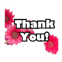 Thanks Thank You Sticker by Global Tara Entertainment