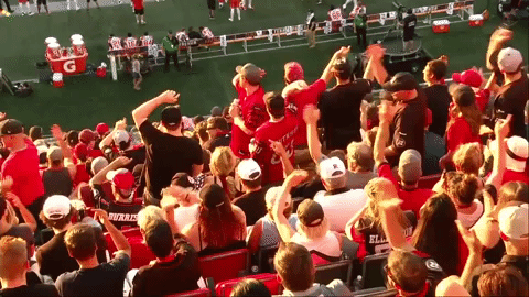 td place football GIF by Ottawa REDBLACKS