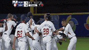 celebration usa GIF by MLB