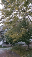 Fluffy Snowflakes Seen in Salt Lake Region Amid Reports of Lake-Effect Snow