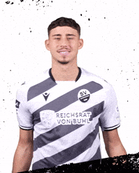 3Liga Wirechtanders GIF by SV Sandhausen