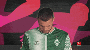 Werder Bremen Football GIF by Bundesliga