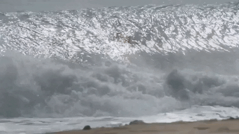 Sport Beach GIF by Bodyboarding Panama