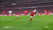 sl benfica football GIF by Sport Lisboa e Benfica