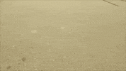 Jesse James Feelings GIF by Cutemobb