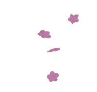 Flower Sticker
