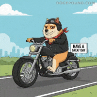 Driving Good Day GIF by Doge Pound