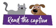 Read The Caption Sticker by Kazoo Pet