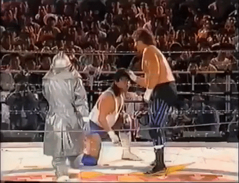 terry funk 90s GIF