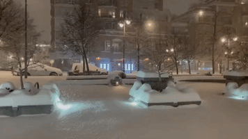 Snow Covers Victoria as Extreme Winter Weather Grips British Columbia