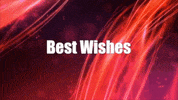 Best Wishes GIF by PrimeGlitz