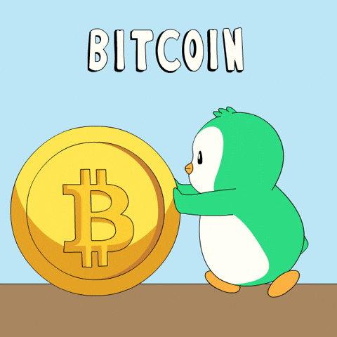 Penguin Rolling GIF by Abster