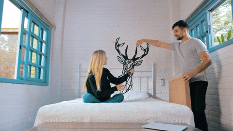 alinepereirae0d3 giphyupload GIF
