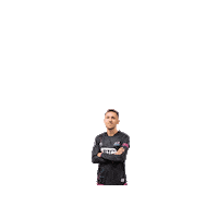 Riseasone Sticker by St. Louis Ambush