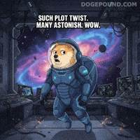 Shiba Inu Wow GIF by Doge Pound