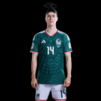 Fifa World Cup Mexico GIF by Respective