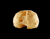 Camoleis  GIF