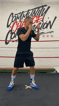 quinitboxing  GIF