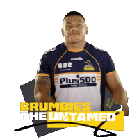 Super Rugby Sticker by BrumbiesRugby