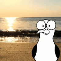 Strand Ostsee GIF by Mundstueck