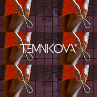 Barbie Темникова GIF by Elena Temnikova