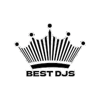 Best Music Destination Weddings Sticker by Viparties