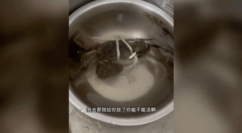 loveeyo giphyupload GIF
