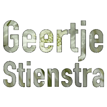 GeertjeStienstra giphyupload magic flowers bouquet Sticker
