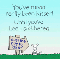 I Love You Dogs GIF by Chippy the Dog