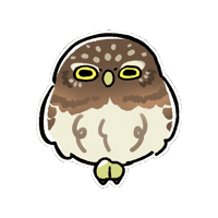 Owl Sticker