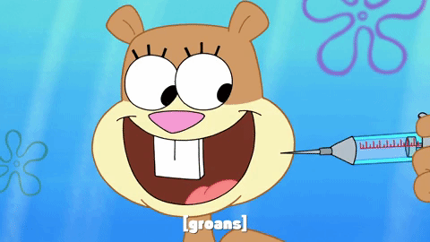 episode 1 GIF by SpongeBob SquarePants