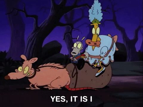 rockos modern life nicksplat GIF