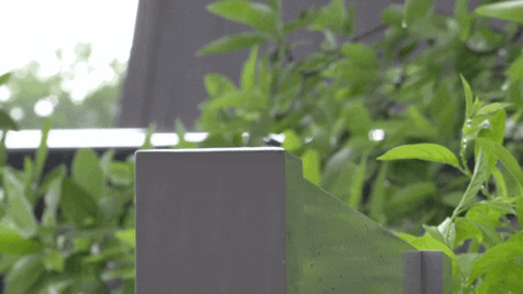 ekorynta giphyupload GIF