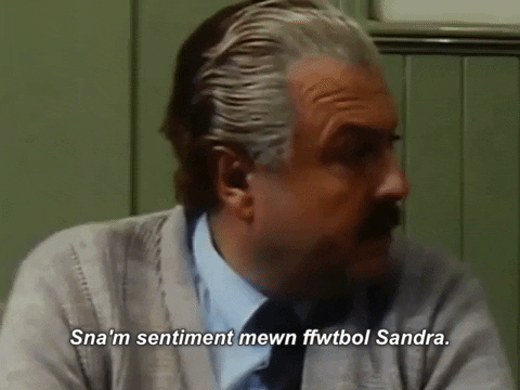 carwpiws giphygifmaker cymraeg s4c sentiment GIF