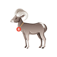 ZionForeverProject zionnationalpark bighorn zionutah bighornsheep Sticker
