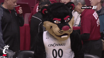 plotting cincinnati bearcats GIF by University of Cincinnati Athletics