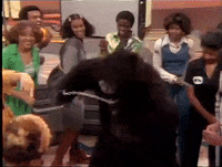 soultrain soul train episode 171 GIF