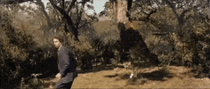 Wild Animals Movie GIF