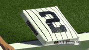 new york yankees GIF by MLB