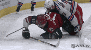 happy ice hockey GIF by NHL