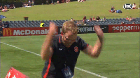 wswanderersfc giphyupload celebration goal western sydney wanderers GIF