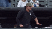 Major League Baseball Mlb GIF