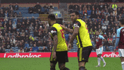 premier league sport GIF by Watford Football Club