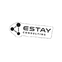 Trending Innovacion Sticker by Estay Consulting