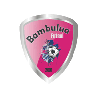 Sticker by Liga Metropolitana de Futsal