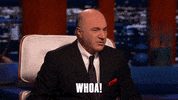 Shark Tank Wow GIF by ABC Network