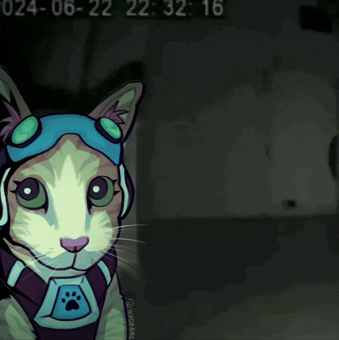 ikadakat overwatch ow2 jetpack cat overwatch meme GIF