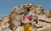 Andy Samberg Look GIF by The Lonely Island
